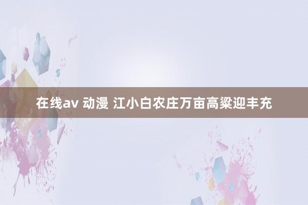 在线av 动漫 江小白农庄万亩高粱迎丰充