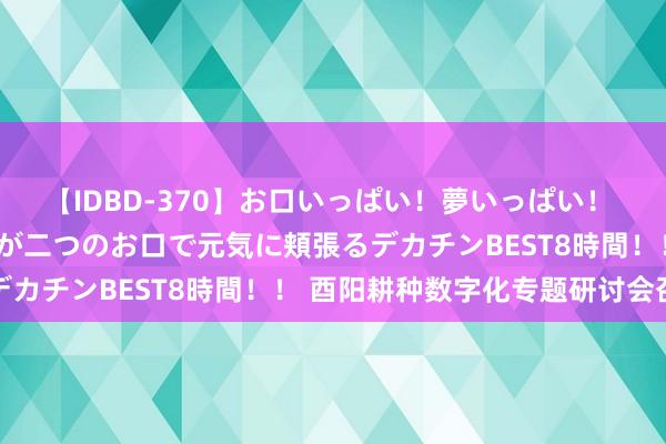 【IDBD-370】お口いっぱい！夢いっぱい！ MEGAマラ S級美女達が二つのお口で元気に頬張るデカチンBEST8時間！！ 酉阳耕种数字化专题研讨会召开