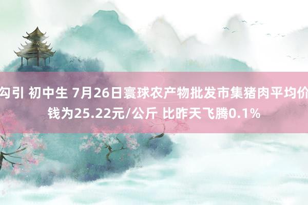 勾引 初中生 7月26日寰球农产物批发市集猪肉平均价钱为25.22元/公斤 比昨天飞腾0.1%