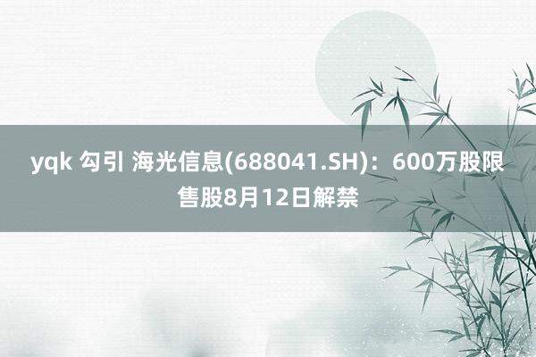 yqk 勾引 海光信息(688041.SH)：600万股限售股8月12日解禁